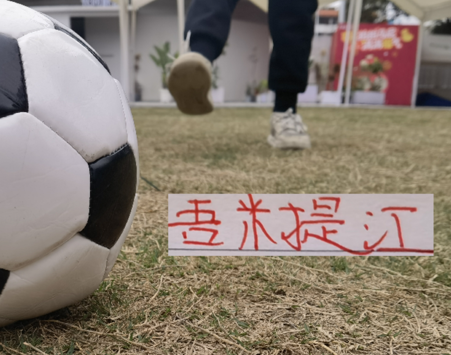 世界杯客户端更新说明-穆帅入驻后！海港本土学霸们 目前打出来还是擎天柱后卫吾米提江